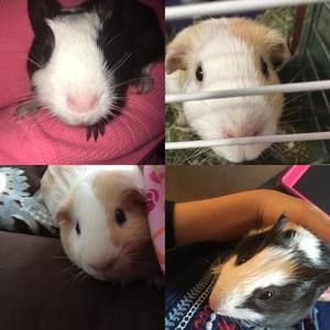 Meet your Posher, Brianna